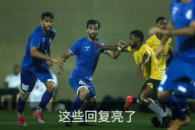 这些回复亮了